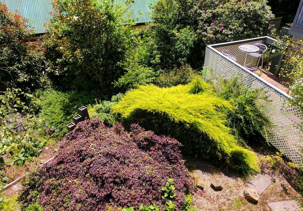 Annie Roes Luxury B&B Bend of Islands Exterior foto