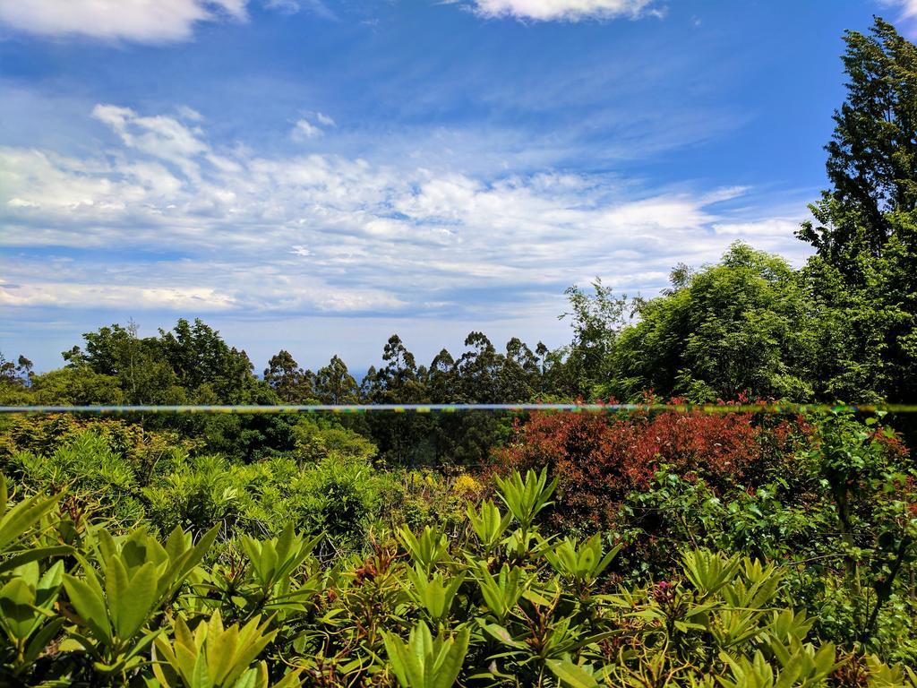 Annie Roes Luxury B&B Bend of Islands Exterior foto