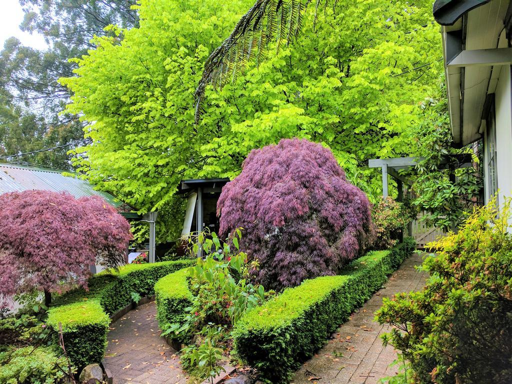 Annie Roes Luxury B&B Bend of Islands Exterior foto